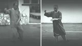 Huang Sheng-Shyan and Cheng Man-Ching 37 Step Tai Chi Form Side By Side Section 1