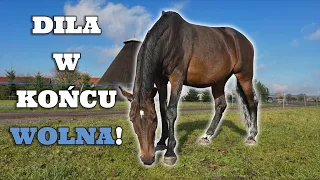 DZIEŃ Z ALEKSĄ! #2 | DILA MI UCIEKŁA 🤣