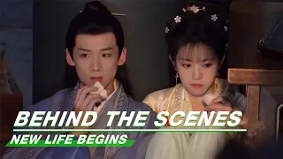 BTS: Zhengwei Couple Bumped into Each Other in the Kitchen| New Life Begins | 卿卿日常 | iQIYI