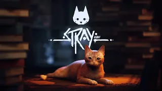 The Cutest Cat Game!!| Stray Part 1