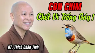 KHÔN cũng chết - DẠI cũng chết - BIẾT thì sống ! Lời nhắc nhở quý báu của HT. Thích Chân Tính !