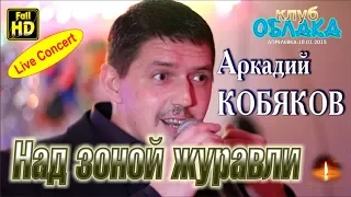 Full HD/ Live Concert/ Аркадий КОБЯКОВ - Над зоной журавли/ Апрелевка, 10.01.2015