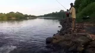 Ende der Schonzeit treibt die Angler an die Weser