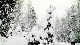 Зимний поход, зимняя палатка, зимние санки.(первый день)