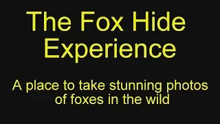 The Fox Hide Experience Promo