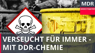 Bitterfeld und das verseuchte Erbe der DDR-Chemie | Reupload | Doku