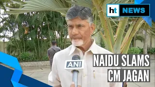 ‘People want development, not politics’: Chandrababu Naidu slams 3-capital plan