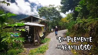 VIVEN TAPADOS por el BOSQUE camino al SANTUARIO NACIONAL PAMPA HERMOSA | Chanchamayo