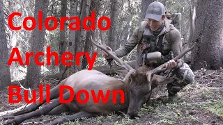 I'm Calling Bull Part 5 - Big Bull Down - Colorado Archery Elk Hunt During The Rut - 4k Footage