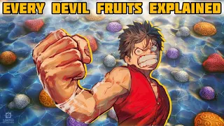 Every Devil Fruits in One Piece Explained in Hindi | Sora Senju | One Piece Anime