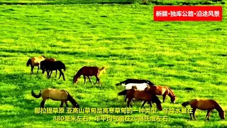 新疆独库公路沿途风景🔴，伊犁昭苏县中国天马之乡，唐布拉百里画廊，唐布拉蜜蜂小镇，那拉提草原，巩乃斯草原，巴音布鲁克草原，大小龙池，天山大峡谷，盐水沟，天山公路终点。✳️