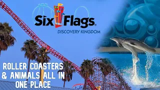 Six Flags Discovery Kingdom Tour & Review - 2023