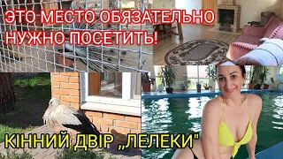 Конний двор ,,Лелеки" Это место обязательно нужно посетить!!! Рекомендуем💯