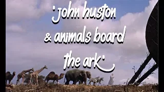 'John Huston & Animals Board the Ark' from 'The Bible In The Beginning' (1966) Dir.John Huston