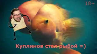 Куплинов стал  рыбой!? В игре I Am Fish.