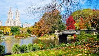 New York City - Central Park TV and Movie Sites Walking Tour