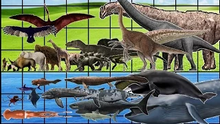 ALL Animals, Dinosaurs & Sea Monsters SIZE COMPARISON