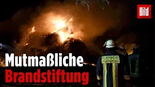 Brandstiftung in Hessen: Mehr als 300 Heuballen abgefackelt