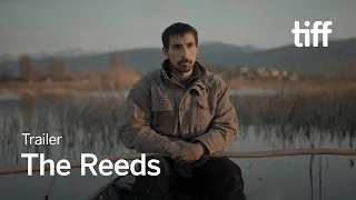 THE REEDS Trailer | TIFF 2023