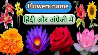 छोटे बच्चो के लिये फुलो के नाम हिंदी ओर इंग्लिश मे 🌼🌺🌷🌻🌸 Flowers Name Hindi and English Language 🌹