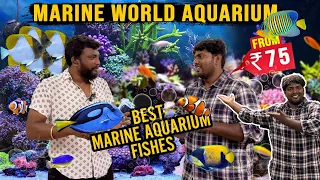 Best Quality Marine Fishes available | Marine World Aquarium Kolathur | Setting up Marine Fish Tank