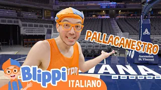 Scopriamo la pallacanestro | Blippi in Italiano | Video educativi per bambini