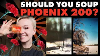 Can You Film Soup Harman Phoenix 200?