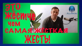 ВОТ ЭТО ЖЕСТЬ ПОЛУЧИЛАСЬ/АЛЬФАБАНК И ЕГО КЛИНИЧЕСКИЕ ИДИОТЫ/Как не платить/Кузнецов | Аллиам