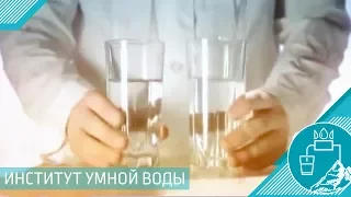 Институт Умной воды (SWI) ПРЕДУПРЕЖДАЕТ: живая и мертвая вода