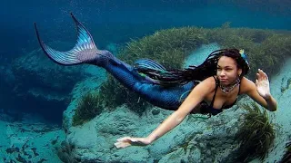 🔴 Incroyable : Une vraie SIRENE attrapée à Mombasa au Kenya / Mermaid cautched in Mombasa Kenya