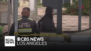 Homeless man arrested for allegedly stabbing woman to death on LA County Metro train