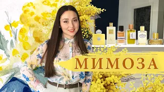 В поисках лучшей МИМОЗЫ | АРОМАТЫ С НОТОЙ МИМОЗЫ: Amouage, Perris Monte Carlo, Jacque Fath...