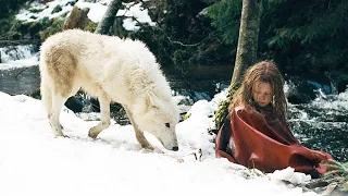 Boy Fed The Wolf, Years Later Wolf Recognized Him & Saved Him From An Incredible Calamity