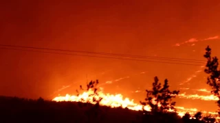 Incendio forestal en portezuelo, 30 de enero 2017.