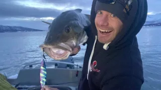 Mords Fishing - Norway Tromso Vikran fishing center and apartments, Cod fishing, Slow Pitch Jigging