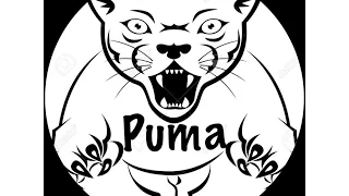 Puma - Мой район