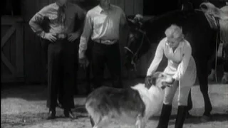 Lassie - Episode #368 - "Lassie Works a Miracle"  - Season 11, Ep. 16 - 12/27/1964