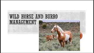 Advocating for Wild Horses and Burros - Animal Liberation Webinar