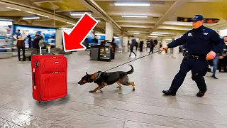 Police Dog Runs to Suitcase at Airport – When The Cops Opened It, They Burst Into Tears!