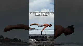 How to Improve Planche?