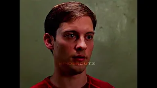 Tobey Maguire’s Spider-Man And Tom Holland’s Spider-Man Limbo Edit