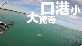 小港口，大驚奇！外加旁邊釣友耍北Ｘ～真的會笑死｜磯釣．澎湖｜