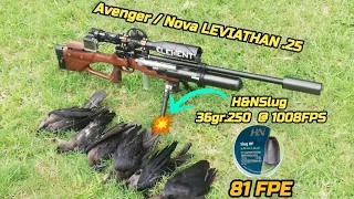 Crows pesting with H&N Slugs 36gr.250 @1008FPS | Avenger /Nova LEVIATHAN 25 with 81FPE @ the muzzle