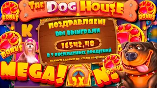 Занос недели в слоте Iron Bank, Dog house собаки