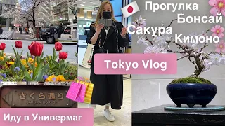 Tokyo 🇯🇵прогулка по улице  сакуры🌸 Бонсай 🌳Кимоно 👘Зонтики 🌂Универмаг в Токио