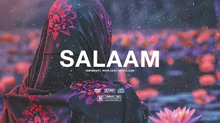 (FREE) Rema ft Omah Lay & B Young Type Beat "Salaam" | Free Beat | Afrobeat Instrumental 2024