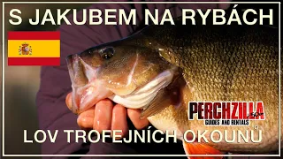 S Jakubem na rybách - Perchzilla- Lov trofejních okounů /With Jakub fishing-Trophy Perch Perchzilla