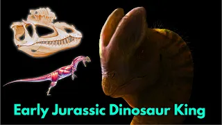 The dinosaur king of the early jurassic