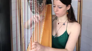 Fairy Fountain (from The Legend of Zelda series) [Koji Kondo] // Amy Turk, Harp