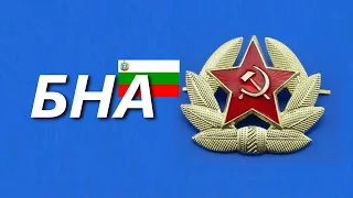 БНА или това,което остана